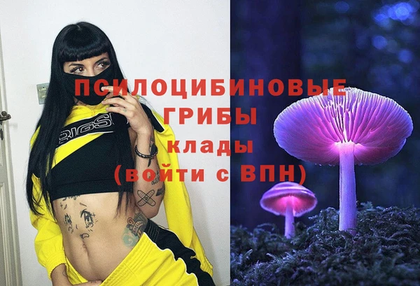 твердый Армянск