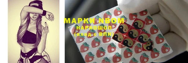 Альфа ПВП Аркадак