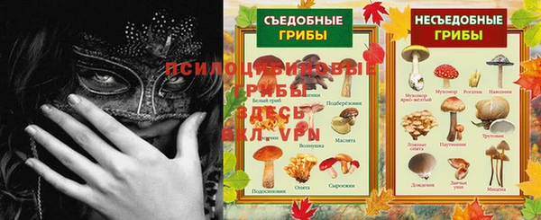 прущие грибы Краснотурьинск