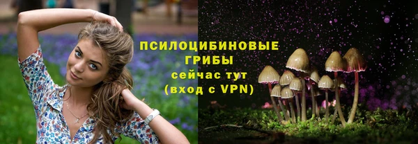 твердый Армянск