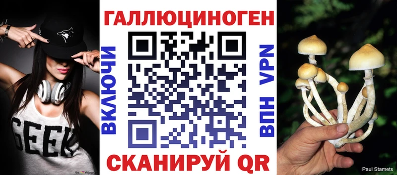 Псилоцибиновые грибы Psilocybine cubensis  даркнет сайт  Орлов 